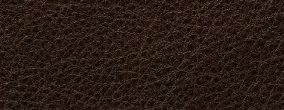 Crest Leather BLAKE Ivy 제조사 컬러북 컬러칩