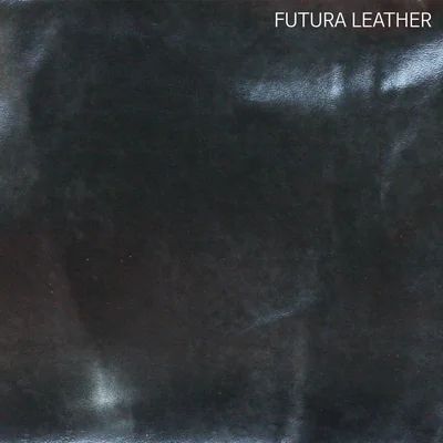 Futura Leather 실물 가죽 스와치 · batch_블랙 (1).jpg