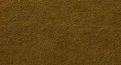 Crest Leather BLAKE Tarragon 제조사 컬러북 컬러칩