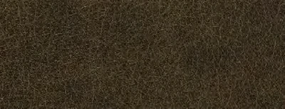 Crest Leather AUSTEN Congo 제조사 컬러북 컬러칩